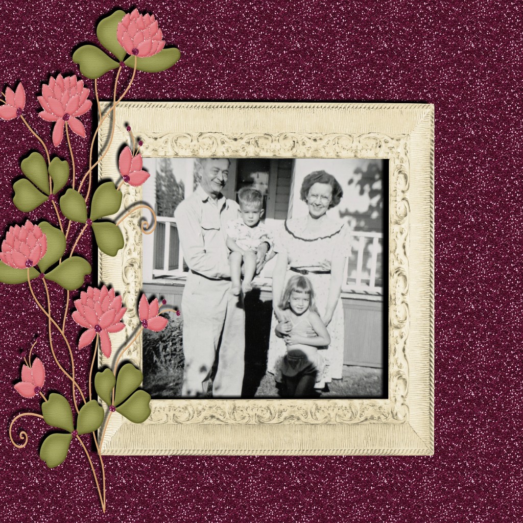 Homesweethome D1-001