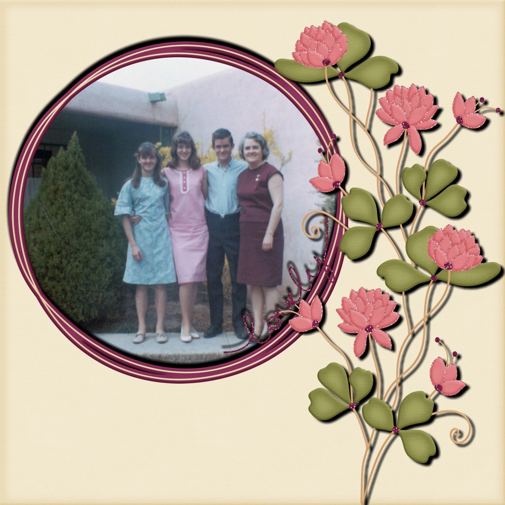 Homesweethome D1-004